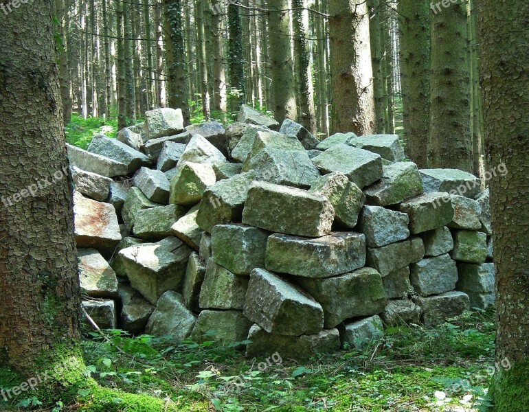 Storage Stones Forest Trees Nature