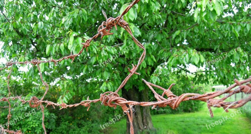 Barbed Wire Rust Risk Defense Garden