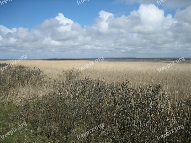 Beach Sea Dunes Sky Clouds