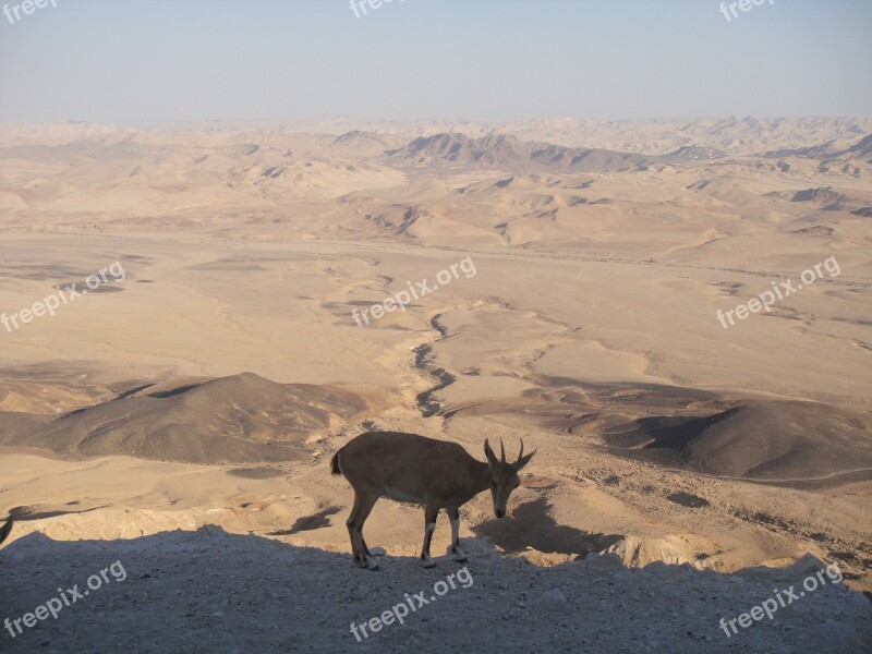 Desert Neguev Israel Sand Hot