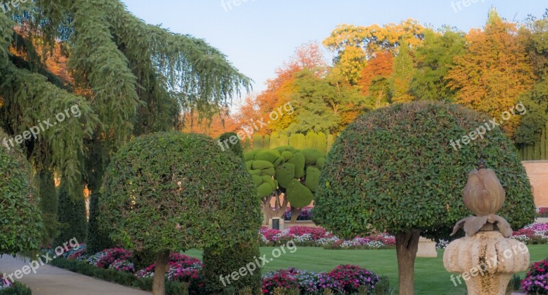 Park Outdoors Tree Flowers Nature