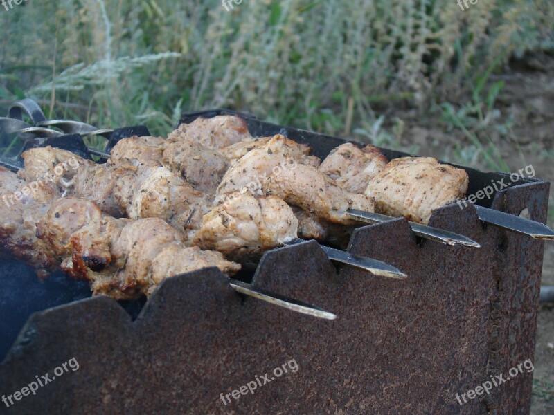 Shish Kebab Mangal Skewers On The Nature Summer