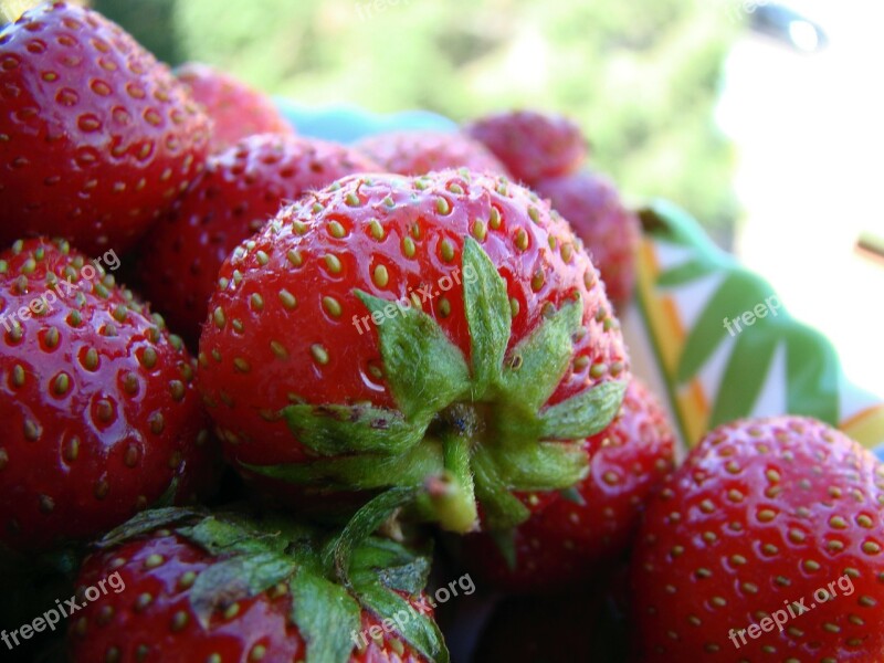 Strawberry Berry Red Appetizing Tasty