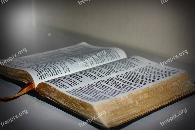 Bible The Bible Light Book Books