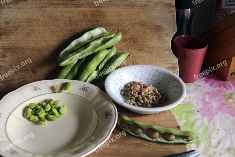 Peeled Broad Beans Broad Beans Field Beans Bean Vegetarian