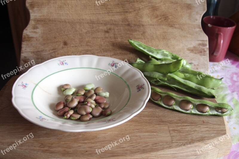 Beans Legumes Pea Bean Peas