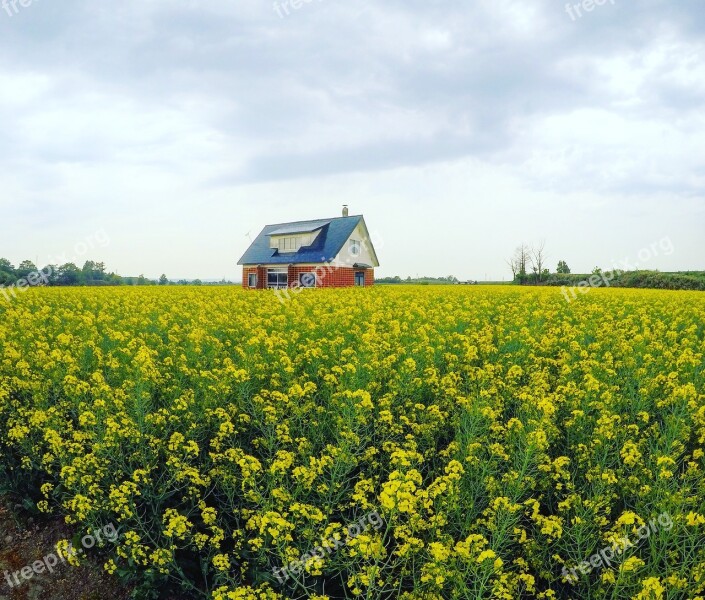 Canola Red House Canola Oil Japan Hokkaido