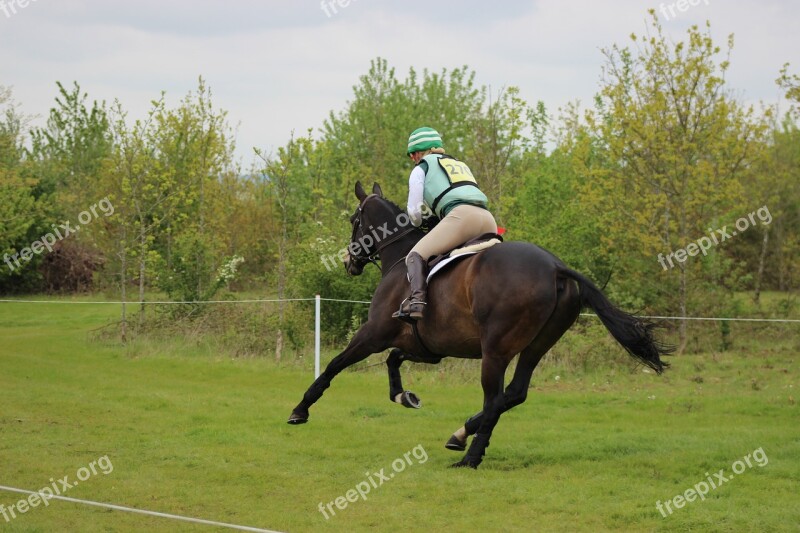 Equine Cross Country Horse Equestrian Rider