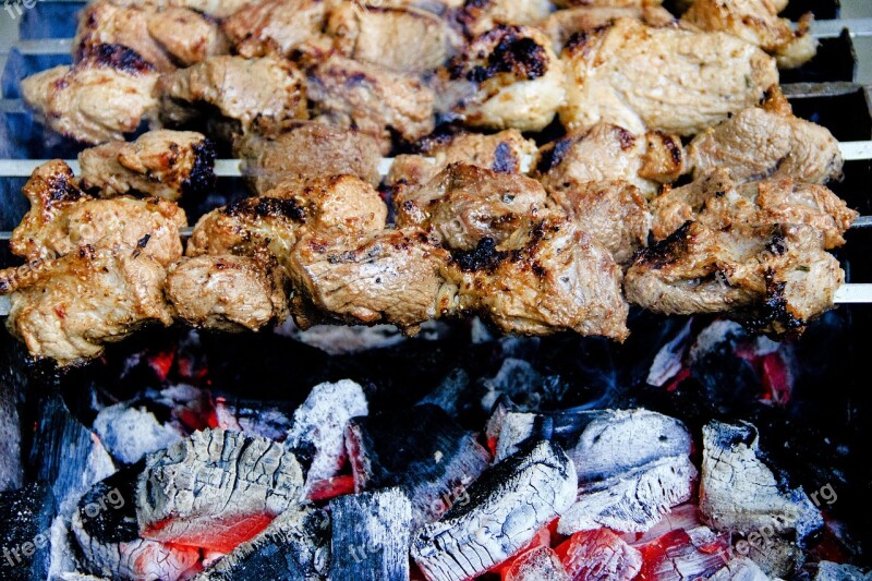 Coals Shish Kebab Mangal Picnic Meat