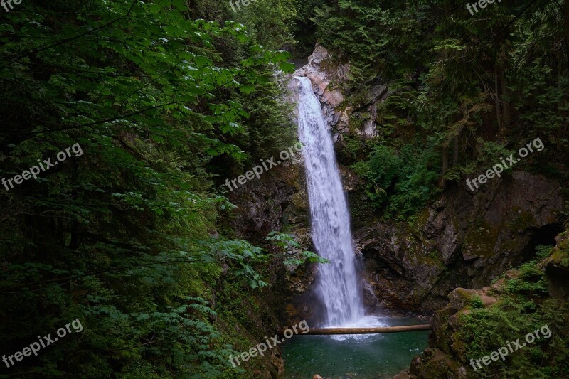 Waterfall Forest Nature Landscape Water