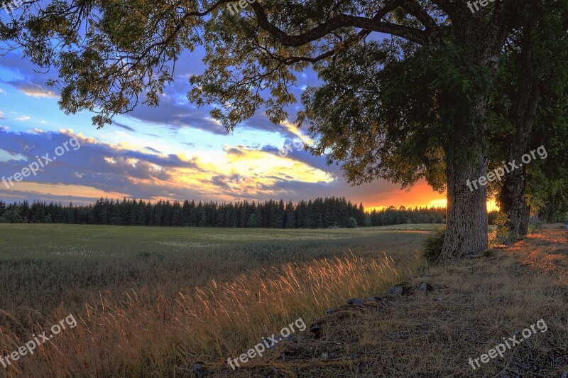 Sunset Go Värnamo Sweden Landscapes