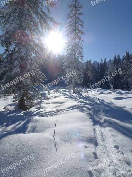 Alpine Backcountry Skiiing Winter Snow Mountains