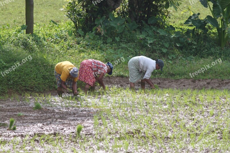 Paddy Asia Sri Lanka Workers Gathering