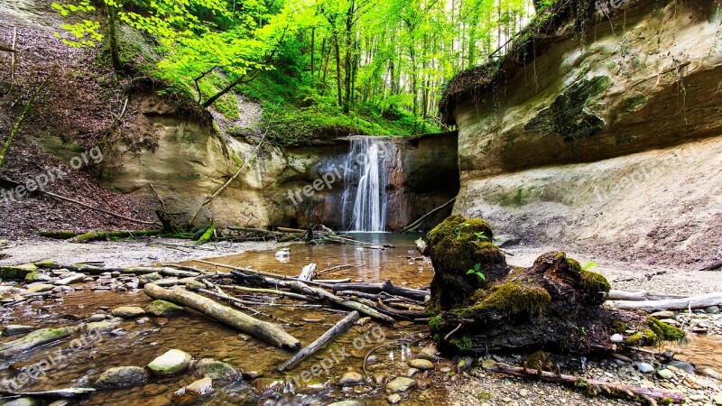 Tobel Schmalegg Nature Bach Forest