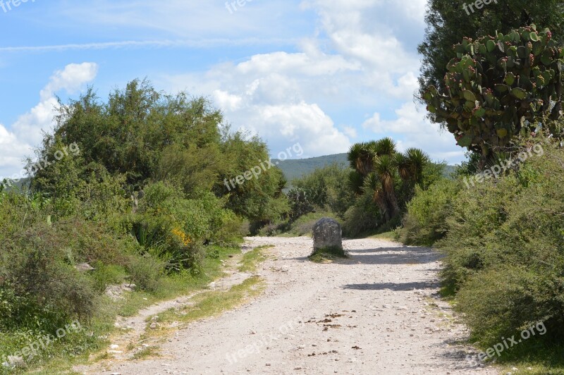 Path Boundary Warning Nature Free Photos