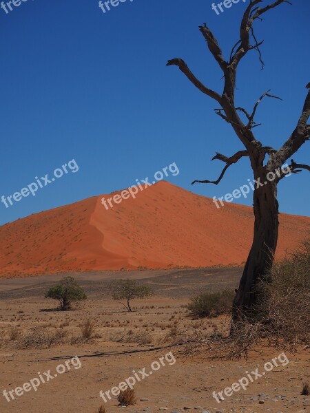 Namibia Roter Sand Loneliness Free Photos