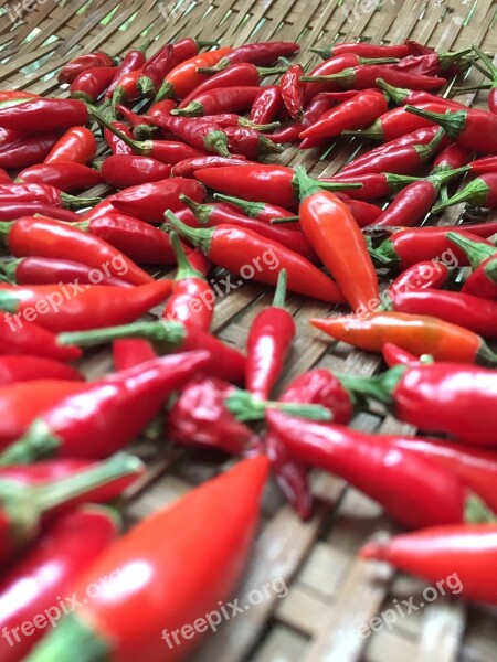 Vegetable Red Pepper Red Free Photos