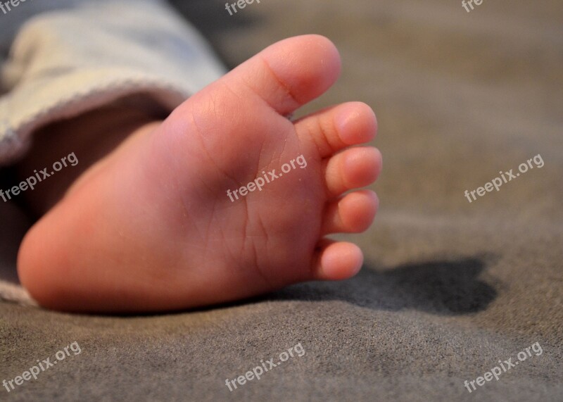 Baby Feet Baby Foot Baby Ten Newborn