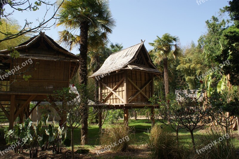 Bamboo Drills Nature Structure Landscape