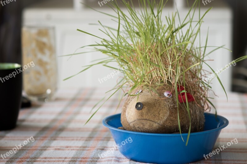 Wheat Christmas Spike Grass Puppet