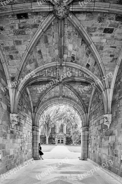 Michigan University Law Quad Old Architecture