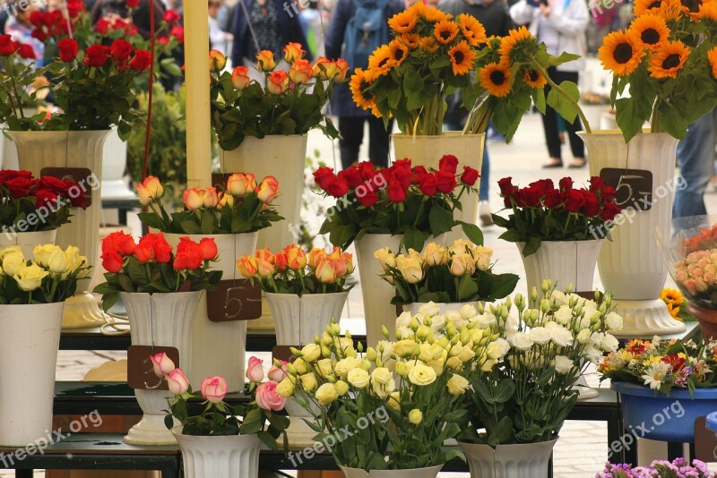 Flowers Called Rothmans Flower Shop Bouquet The Market