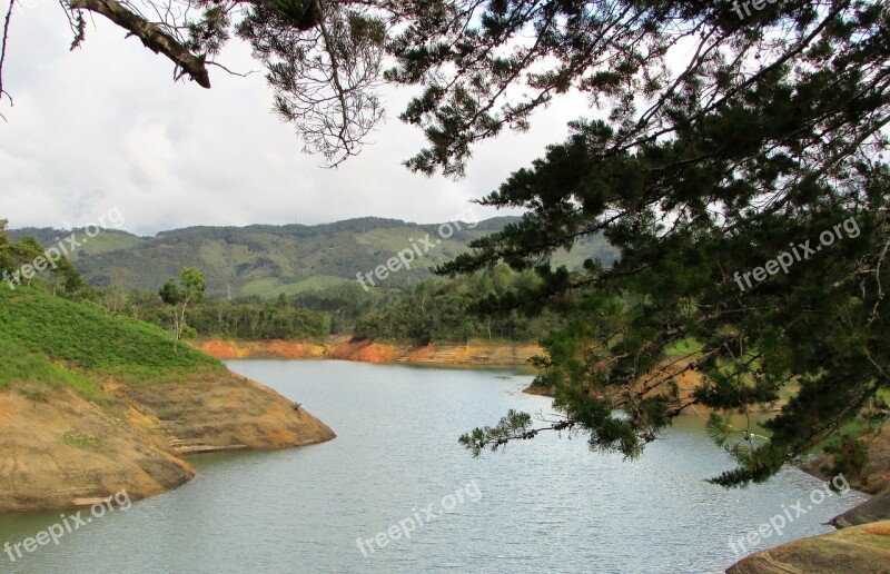 Lake Green Nature Pond Summer