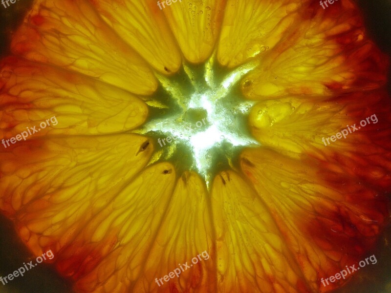 Orange Slice Orange Red Mineral Water Macro