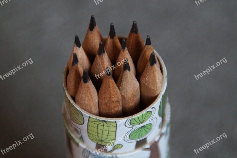 Quiver Pen Holder Pencils Pointed School