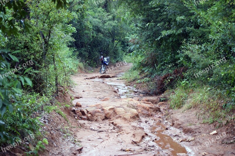 Motorcycle Jungle Road Tree Rain