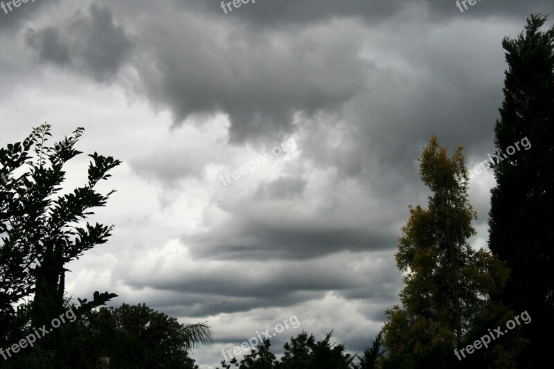 Dense Clouds Day Time Tall Trees Cypress Cloud Layers Sky