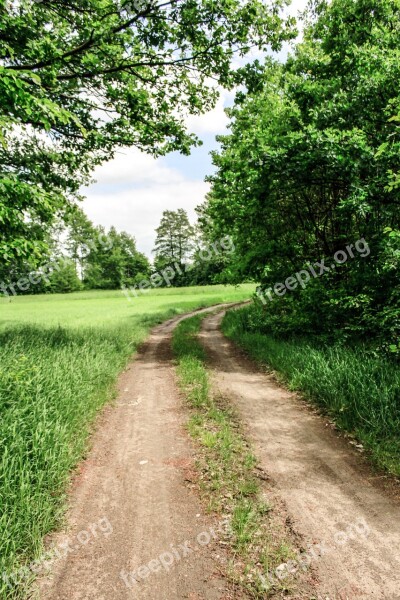 Way Meadow Landscape Free Photos