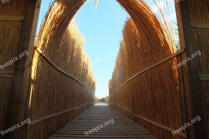 Wire Mesh Reed Road The Gate Free Photos