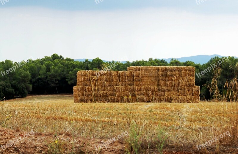 Landscape Summer Haystack Straw Straw Bale