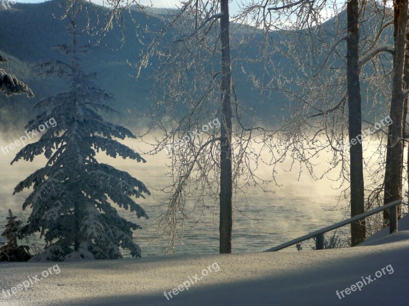 Foggy Winter Scenery Winter Dream Cold