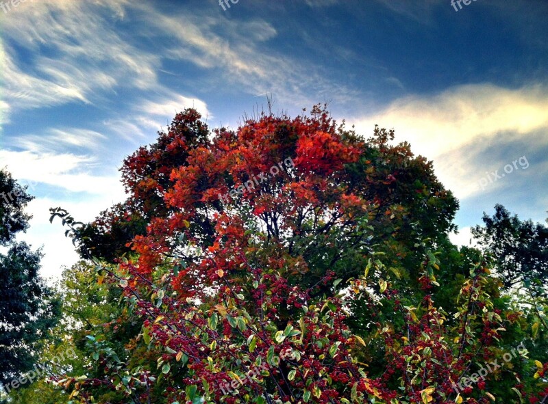 Autumn The Sky Sky Country Rural