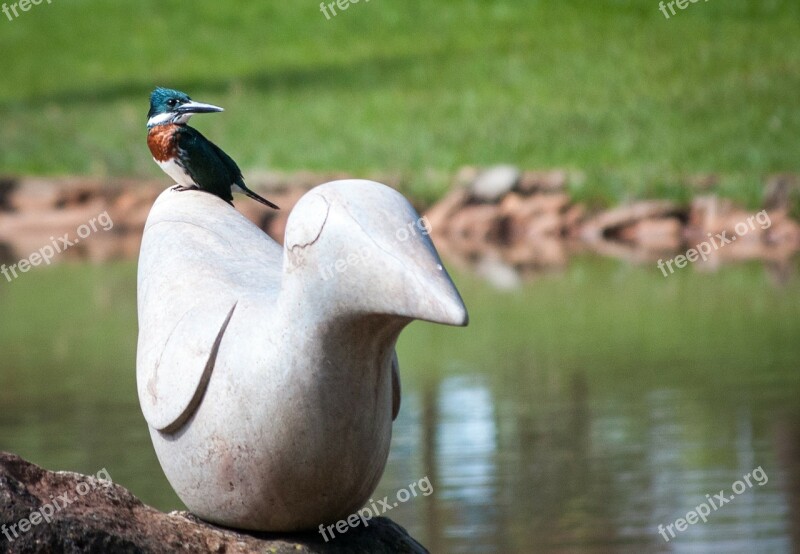 Statue Bird Stone Sculpture Garden Free Photos