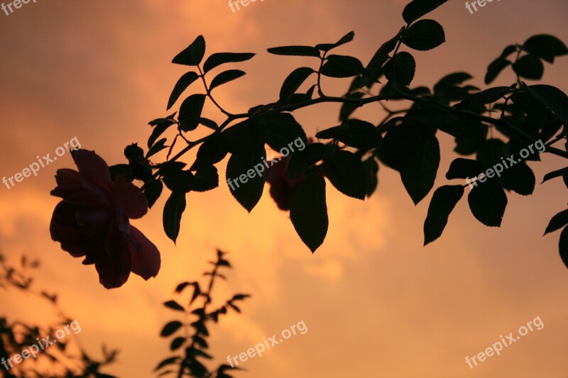 Orange Sky Sunset After Storm Stormy Clouds Golden Glow