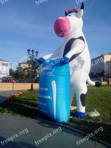 Cow Inflatable Day Milk Free Photos