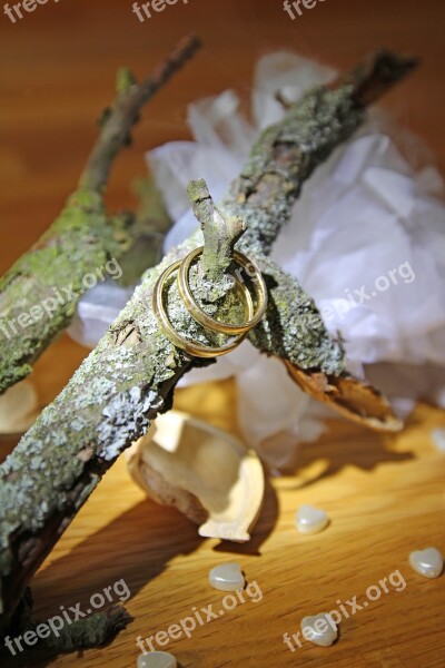 Wedding Rings Decoration Heart Autumn