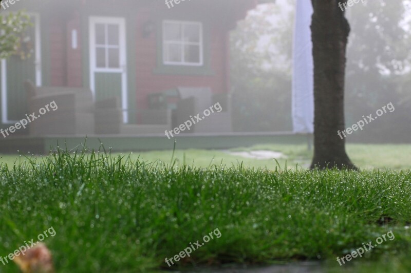 Autumn Garden Grass Rush Dew