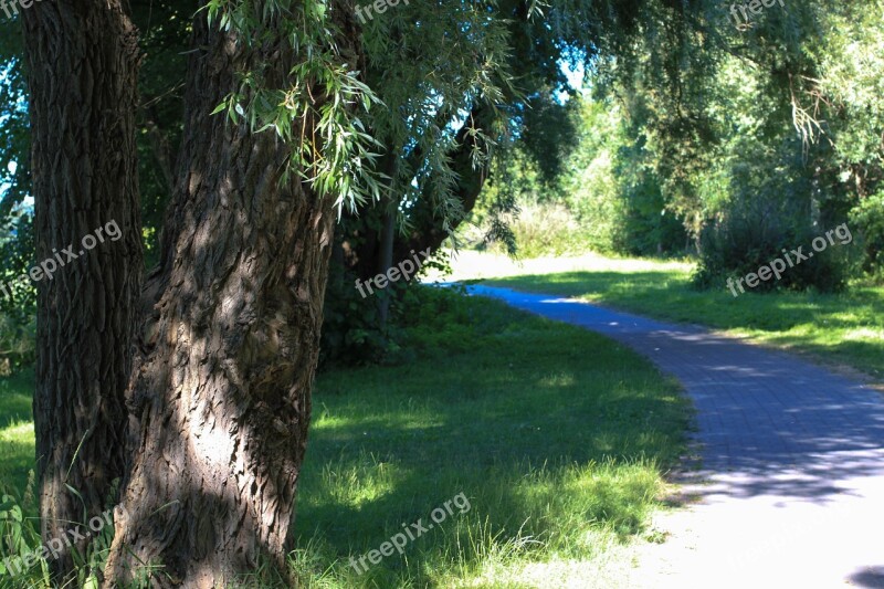 Away Trail Trees In The Green Ribnitz Ut