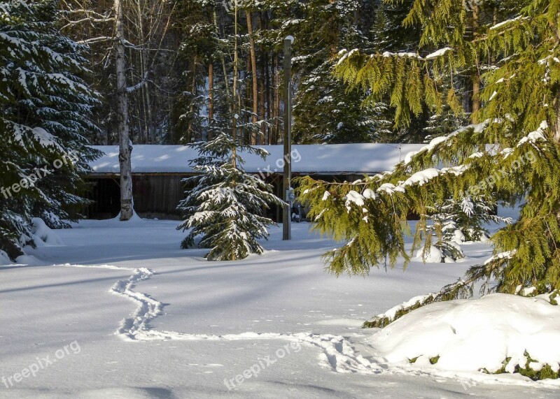 Winter Scenery Canim Lake British Columbia Canada