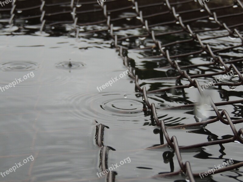 Water Rain Mesh Drop Free Photos