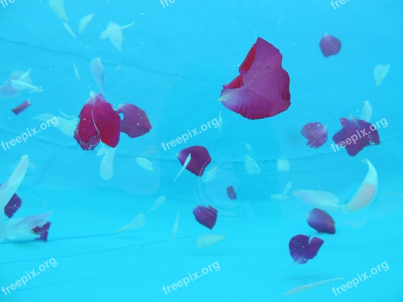 Abstract Water Tickets Colors Free Photos