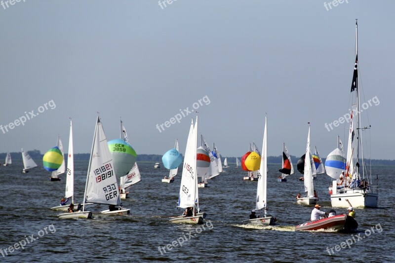 Sailing Boats Sailing Water Summer Ribnitz Ut