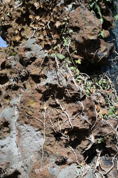 Stone Moss Texture Old Rock