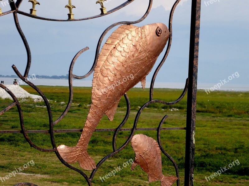 Fish Art Contour Iron Metal