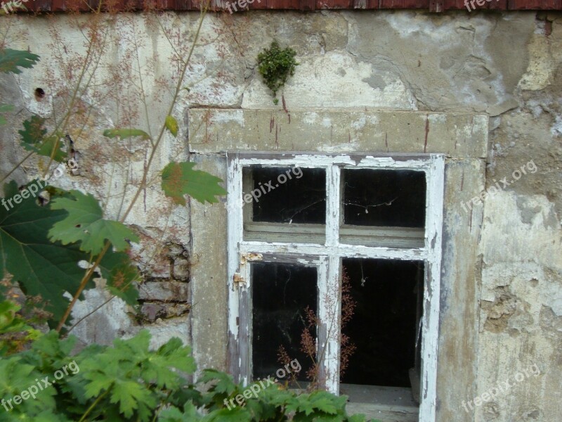 Old House Window Old Plaster New Green