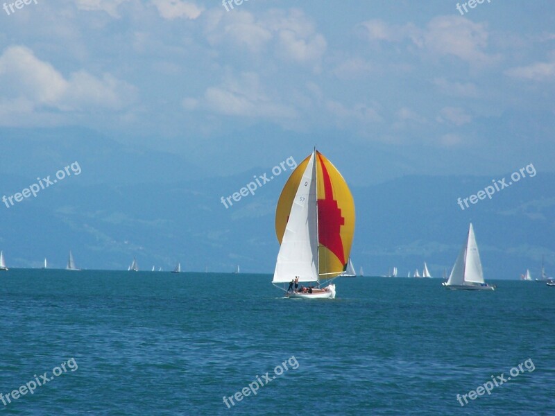 Sailing Boats Sport Water Lake Constance Free Photos